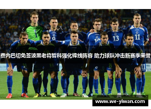 费内巴切免签波黑老将哲科强化锋线阵容 助力球队冲击新赛季荣誉